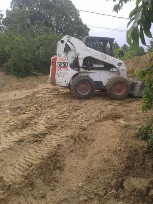 BOBCAT S 250